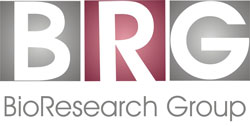 brg_logo