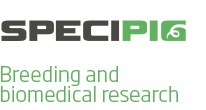 specipig_logo